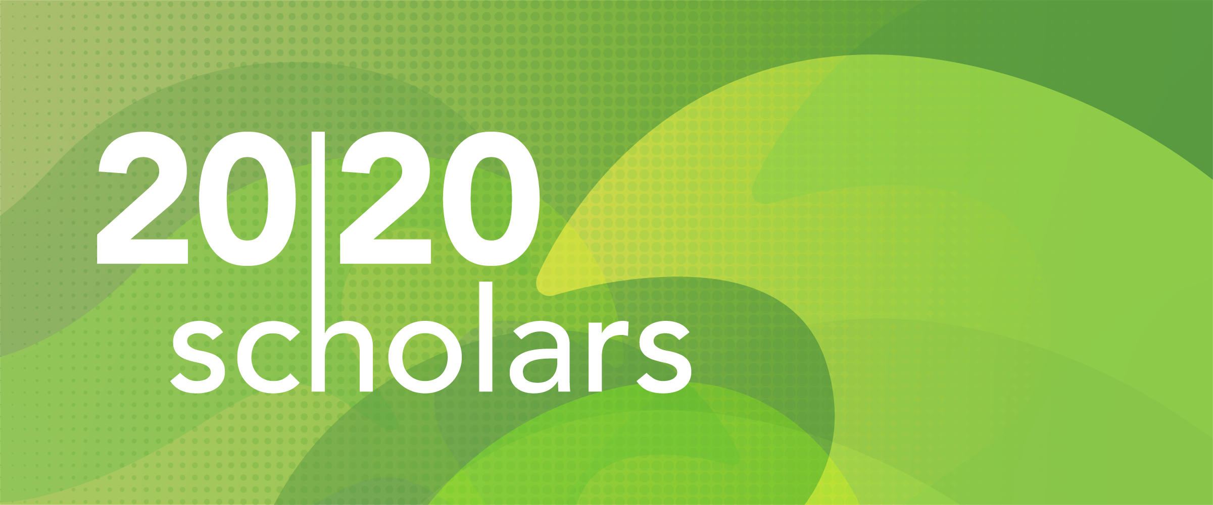 Decorative banner for 20|20 Scholars program