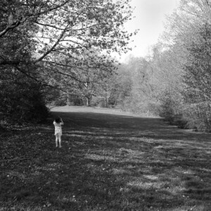 Daughter in the Field, David Lehner (2003)